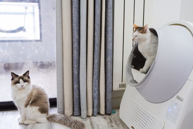 Best self-cleaning litter boxes reviewed