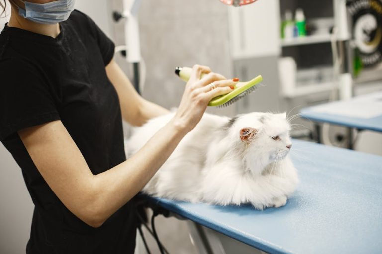 Best cat grooming tools reviewed