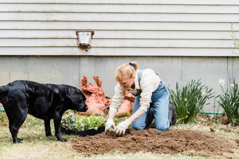 How to stop a dog from digging in the yard