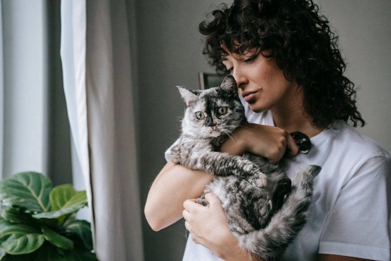 Best cat calming products reviewed