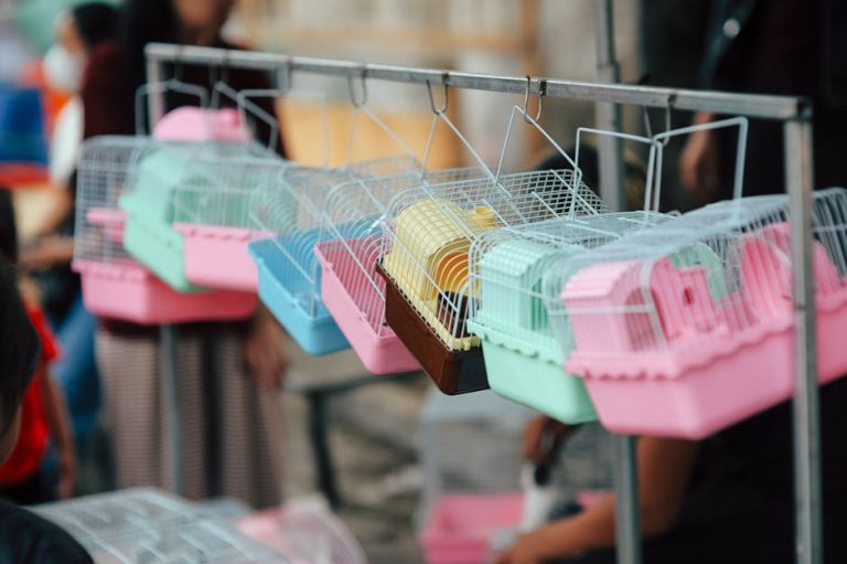 How to clean a small pet cage properly