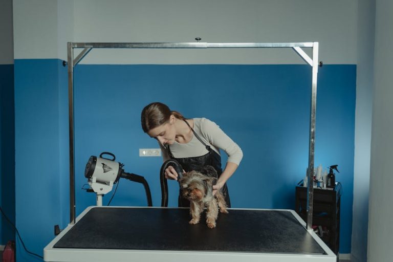 How to keep a dog’s coat shiny and healthy
