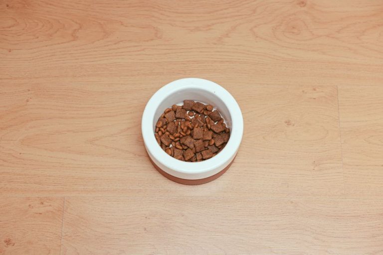 Best grain-free dog foods reviewed