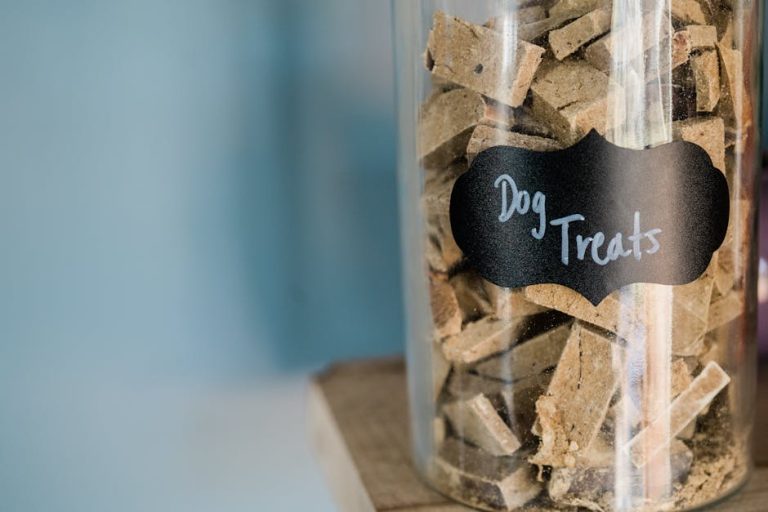 How to read a dog food label properly