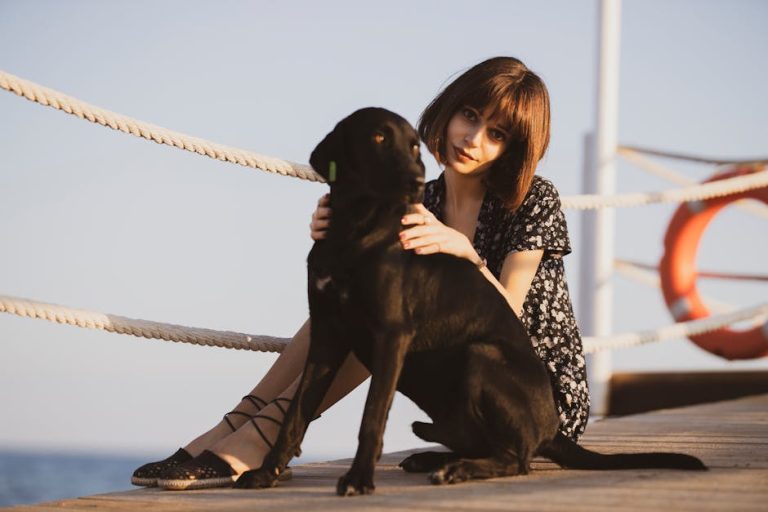 How to keep a dog safe at the beach