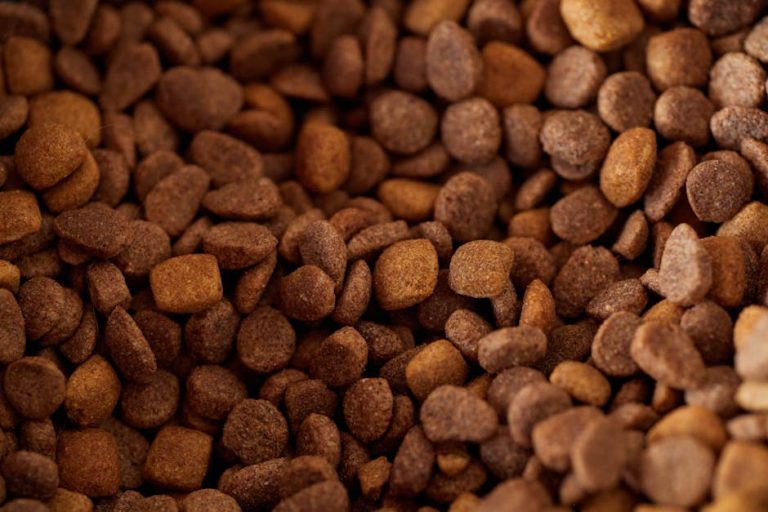 How to store dry pet food correctly